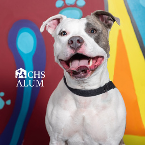 Fundraising Page: brianna murphy